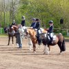 Reitertag 2026 April